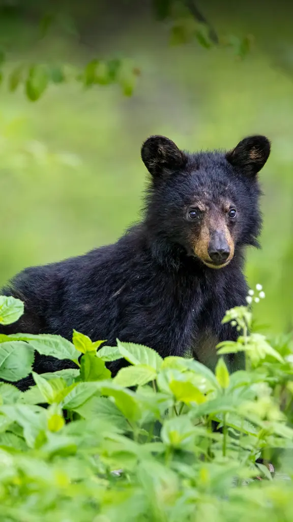 Non avr&ograve; mica dormito troppo a lungo?