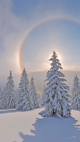厄尔士山脉上的光晕，德国萨克森州