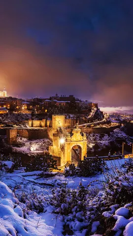 Escarcha y luces festivas