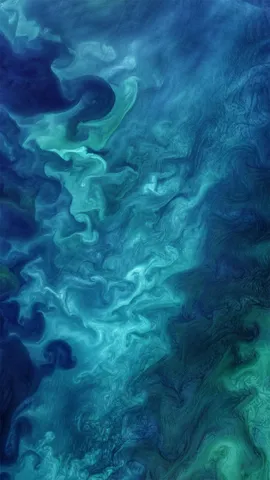 什么生长得这样茂盛？