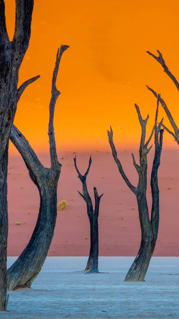 Le temps est rest&eacute; fig&eacute; &agrave; Deadvlei