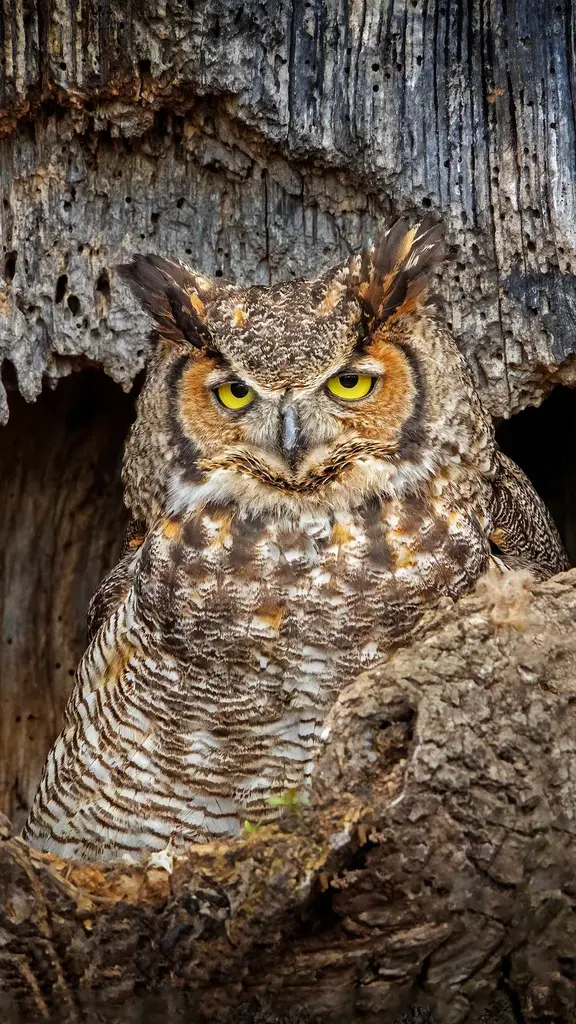 今日は敬老の日