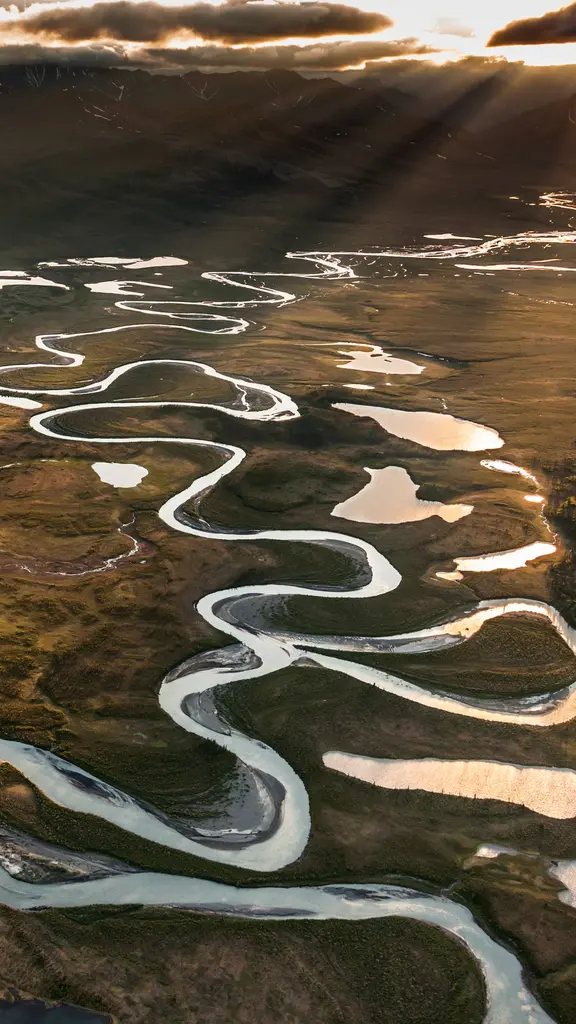 A dan&ccedil;a selvagem do rio