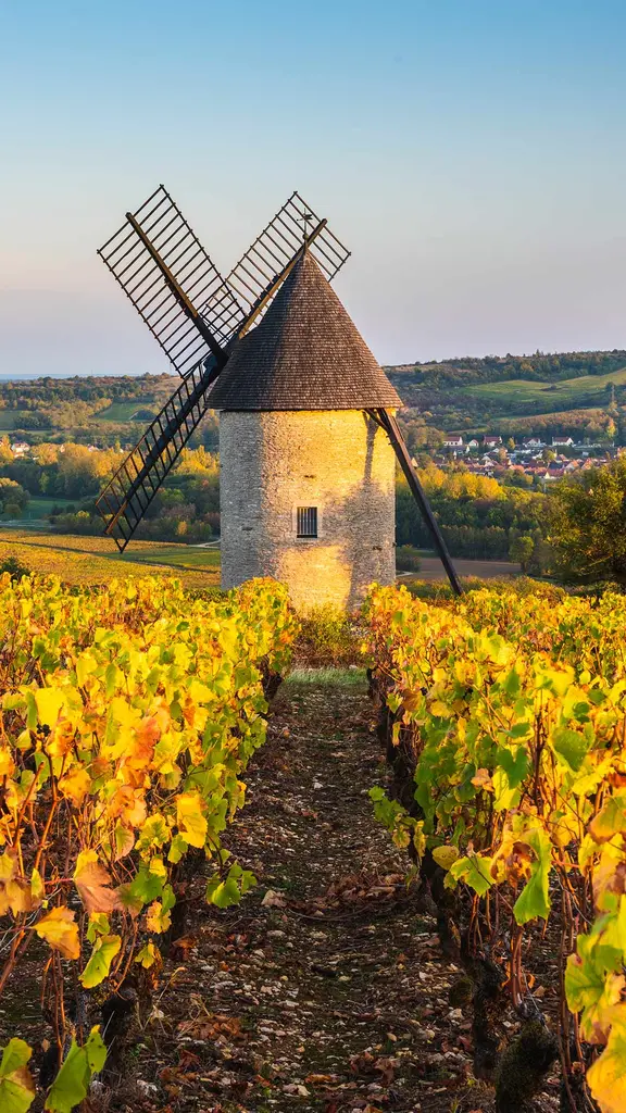 Il est arriv&eacute; !