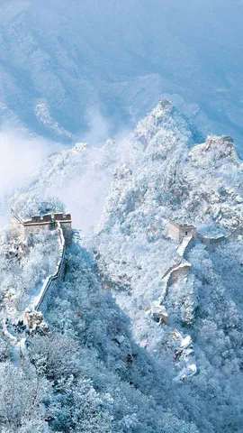 Bianco contro il tempo