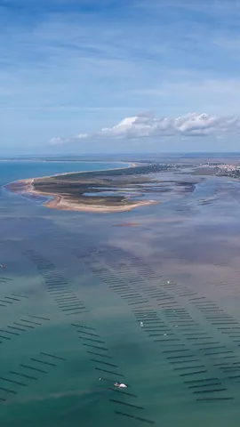 Une histoire de gastronomie &agrave; la fran&ccedil;aise