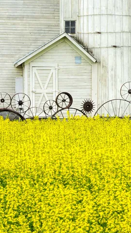 Make hay while the sun shines