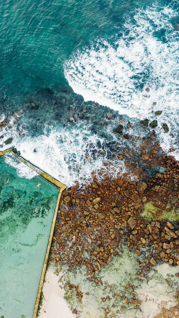 Swimming with the tide