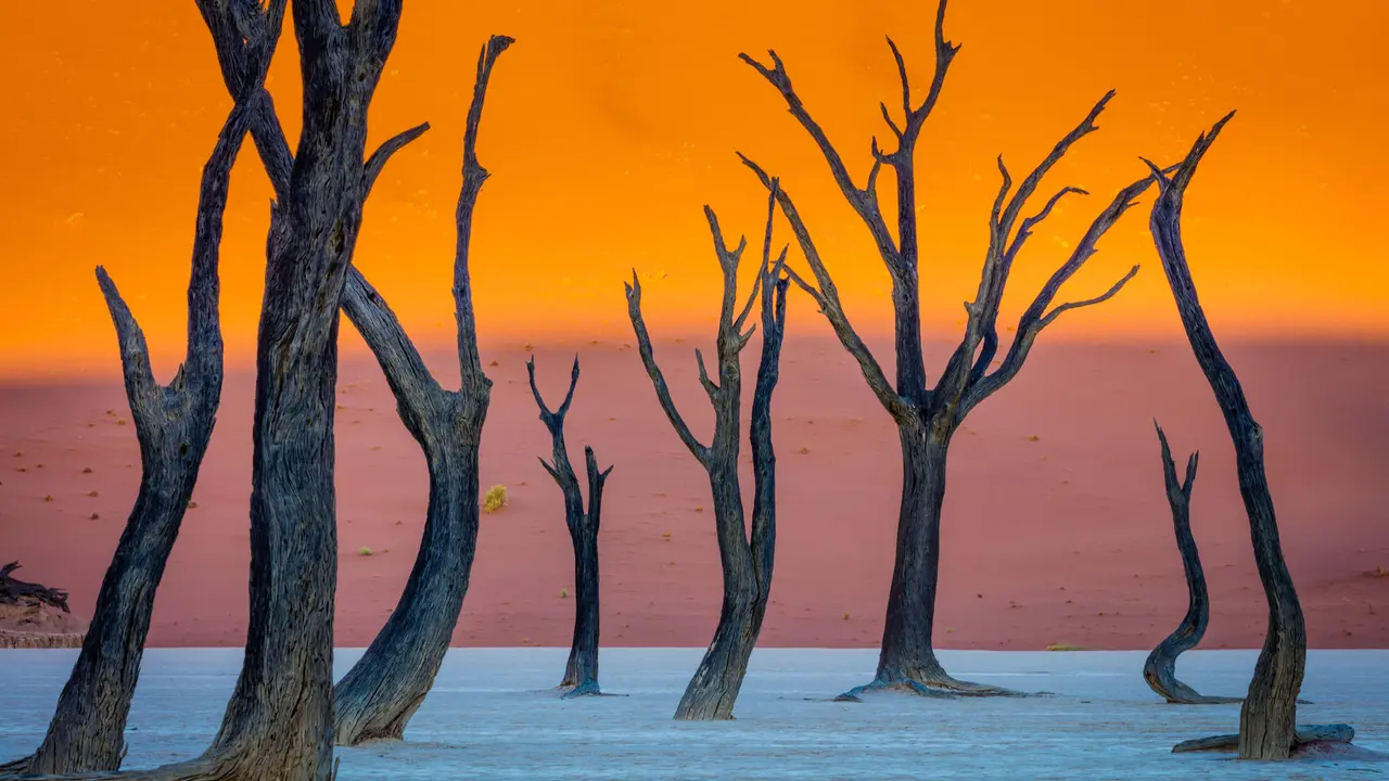 Le temps est rest&eacute; fig&eacute; &agrave; Deadvlei