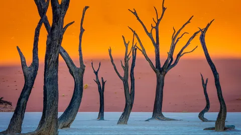Le temps est rest&eacute; fig&eacute; &agrave; Deadvlei