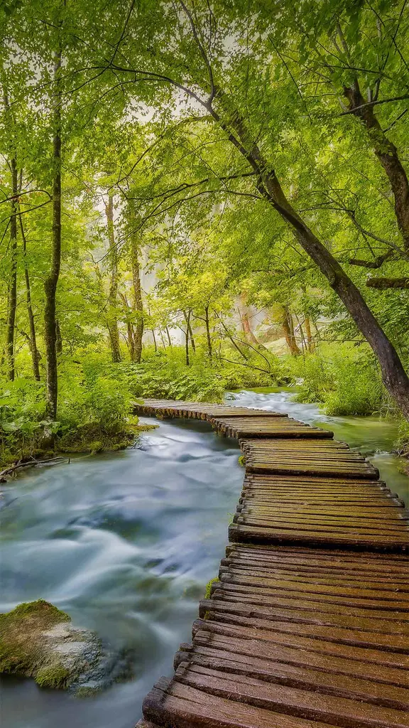 巴尔干湖上的木板路