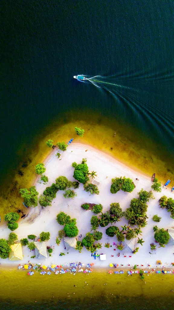 O Caribe Amaz&ocirc;nico
