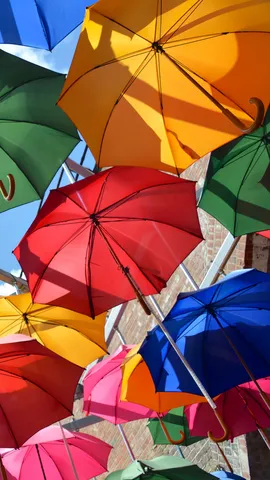 &ldquo;...la vita l'&egrave; bella, basta avere l'ombrella...&rdquo;