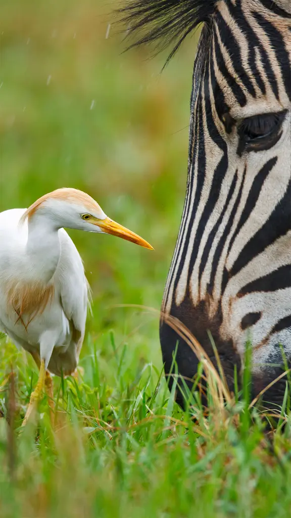 我们可以和谐共处