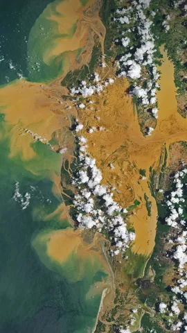 马尼亚河的卫星图像，马达加斯加