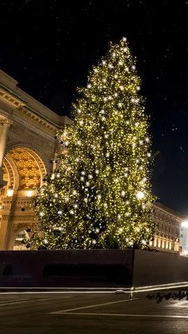 Una meraviglia di luci e colori