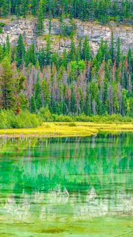 自然が描く湖畔の景色