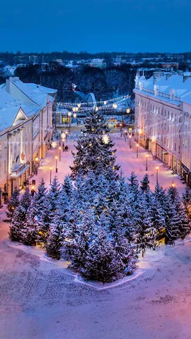 Que lindos s&atilde;o seus galhos