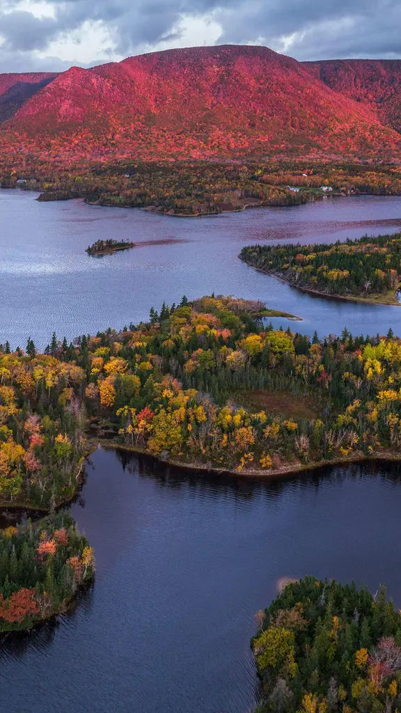 Keltische Farbexplosion