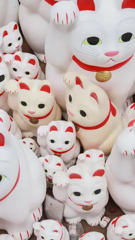 今日は招き猫の日