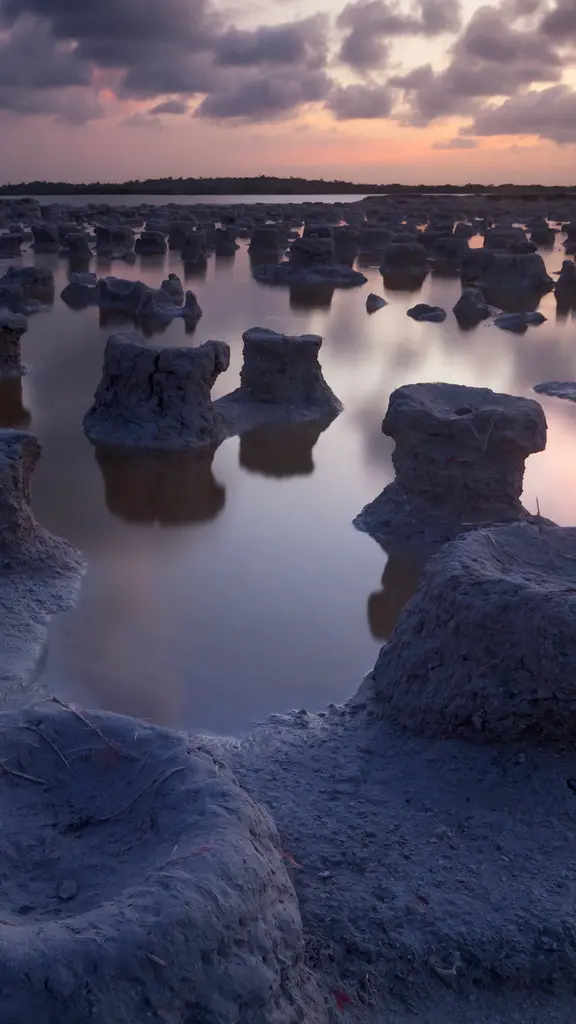 今日は国際生物圏保存地域の日
