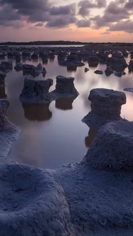 今日は国際生物圏保存地域の日