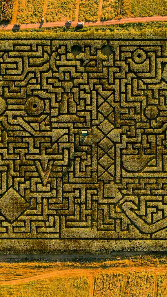 An a-maize-ing puzzle