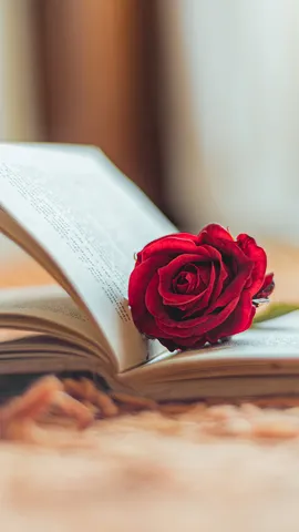 Historias que florecen