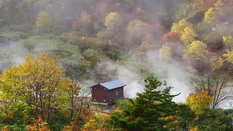 今日は「いい風呂の日」