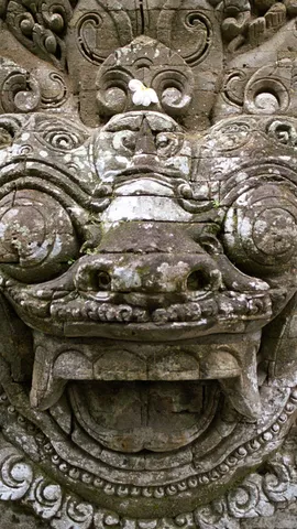 你不会忘记它的！