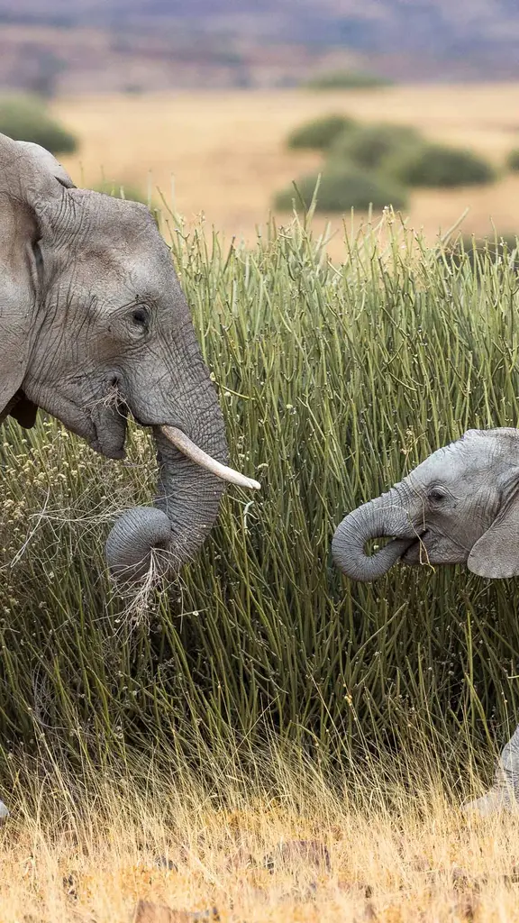 Pi&ugrave; uniti di cos&igrave;?