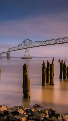 A bridge you can truss