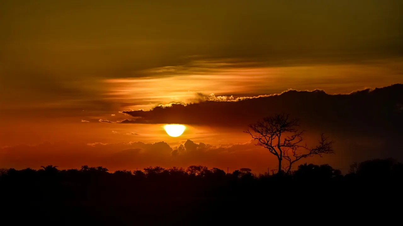 As ra&iacute;zes profundas da resist&ecirc;ncia