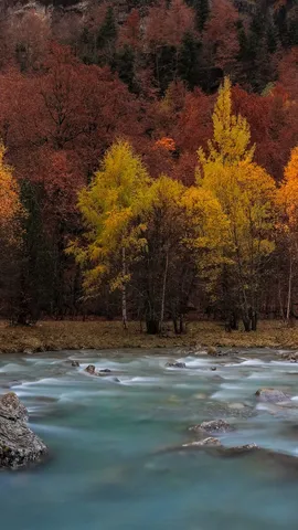 &iquest;Nos vestimos para la ocasi&oacute;n?