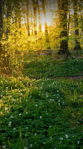 Beneath a ray of light