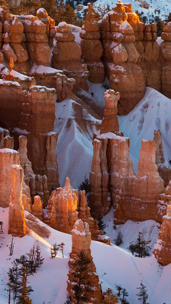 Guardians of the canyon