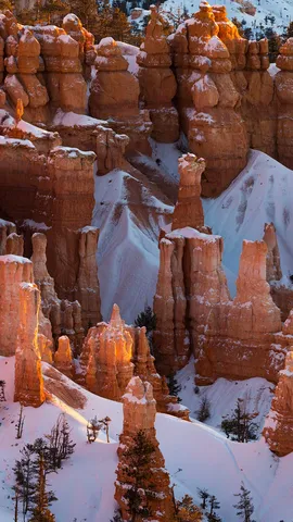 Guardians of the canyon