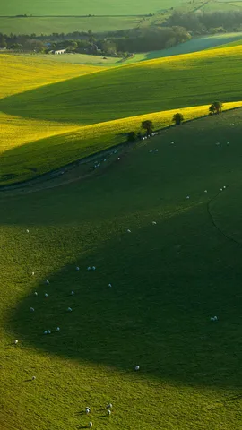 波浪板起伏的绿丘