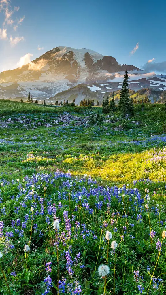 Der Ruf der Freiheit