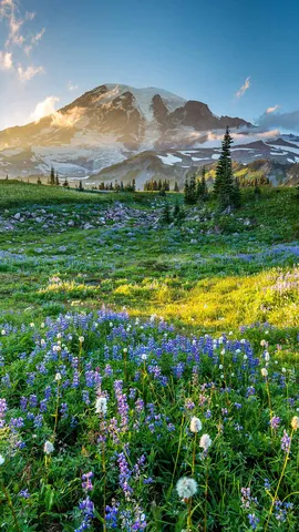 Der Ruf der Freiheit