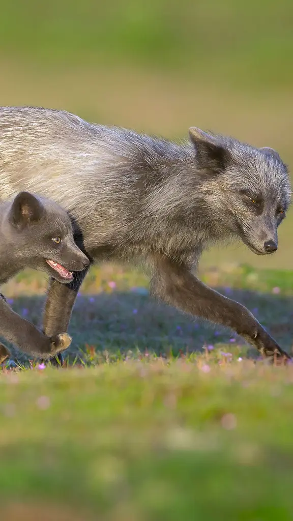Festeggiamo tutti i pap&agrave; del mondo!