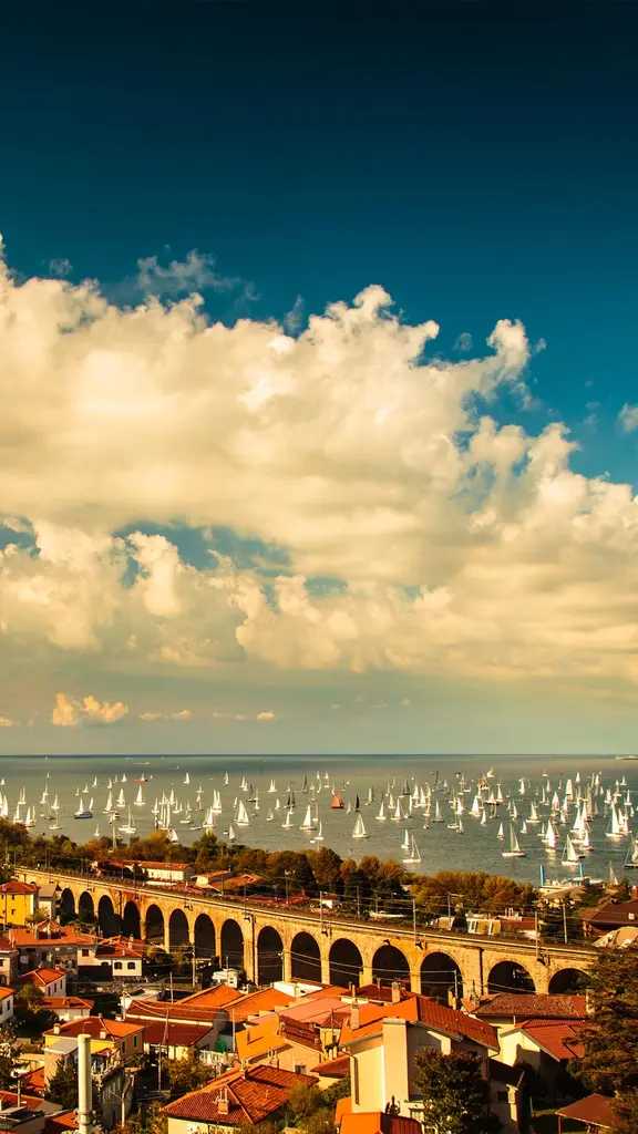 Issate l&rsquo;albero di mezzana!