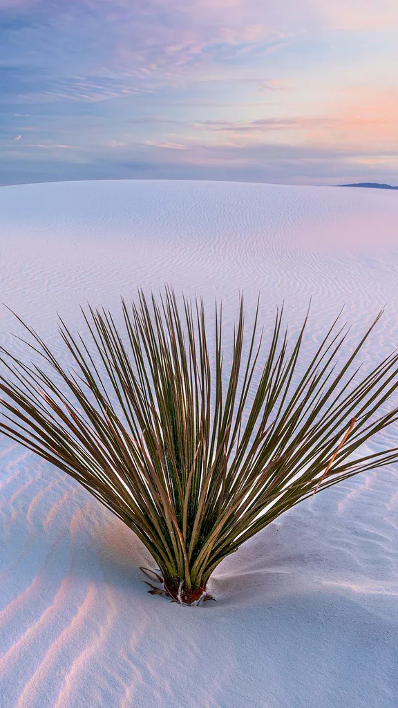 White Sands National Park, New Mexico, United States