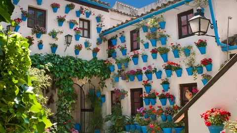 &iexcl;Un d&iacute;a con color!