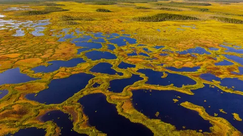 Aerial view of peatland in Martimoaapa Mire Reserve, Finland