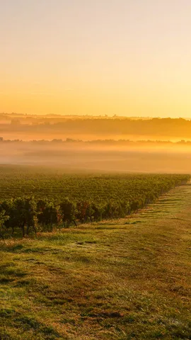 Dove storia, natura e vino si incontrano