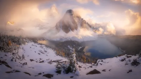 Monta&ntilde;as brumosas