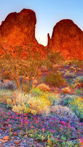 夕陽を受けて輝く山々