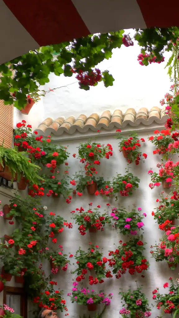 Tradici&oacute;n en cada rinc&oacute;n