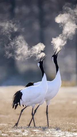 Ready to let off some steam?